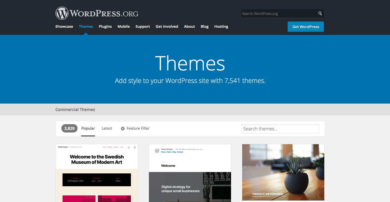 WordPress Themes