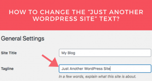 How To Change The “Just Another WordPress Site” Text?