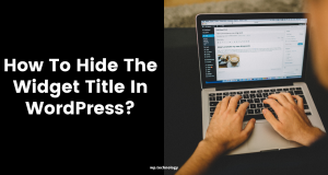 How To Hide The Widget Title In WordPress?