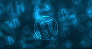 Top 10 WordPress Themes Providers In The USA