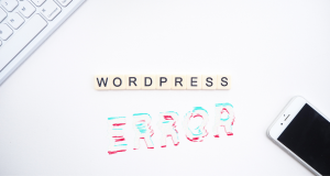 How To Fix “429 Too Many Requests Error” In WordPress