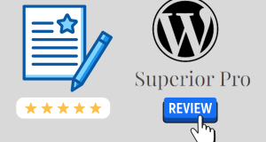 Superior WordPress Theme – Review