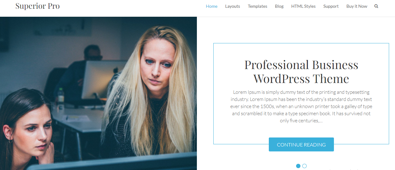 Superior WordPress Theme